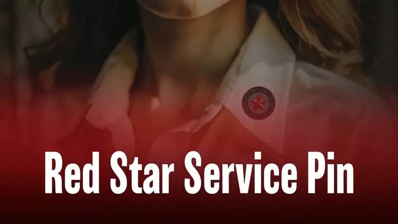Red Star Service Pins