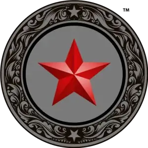 Red Star Service Pin